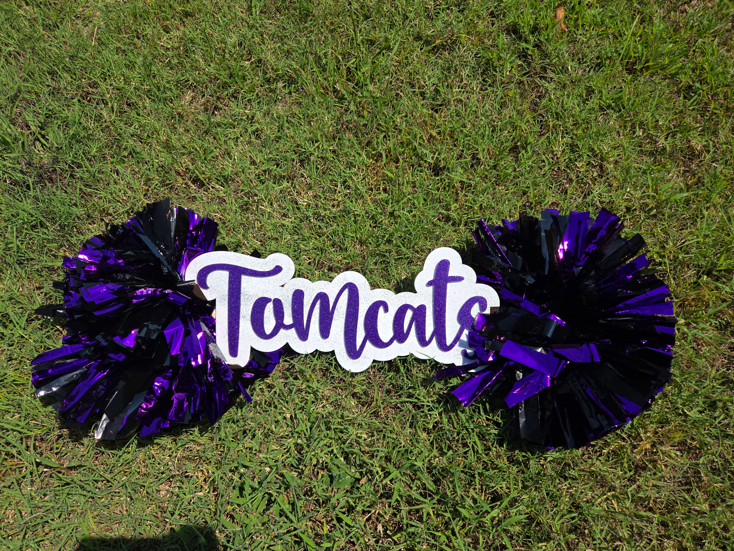 Pom Pom Sign Cheer Spirit Stick