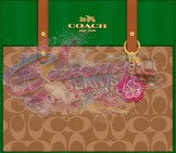 Coach Tumbler W/ Chain